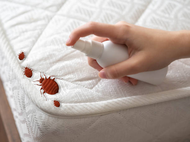 Pest Control Cost in Gervais, OR
