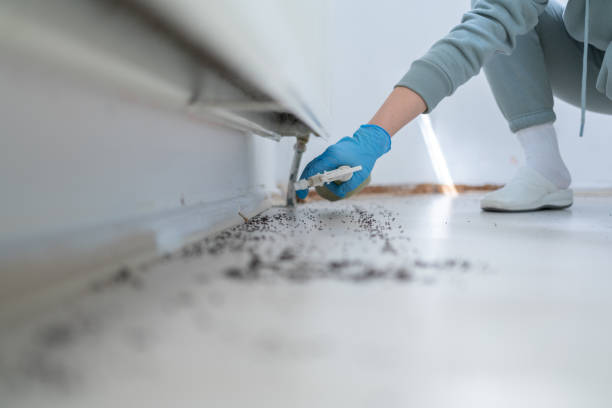 Flea Control Services in Gervais, OR